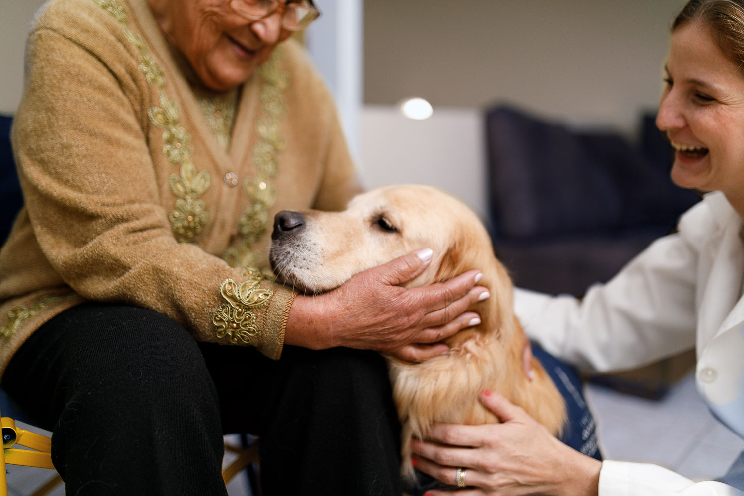 Tender pet therapy for memory and dementia care in the Berkshires